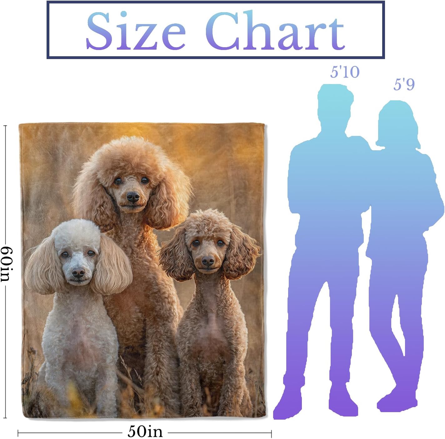 Realistic Poodle Flannel Throw Blanket 50x60 Inch, Elegant Dog in Warm Sunset Light Blankets Soft Cozy Fleece Throws for Pet Lover Bed Sofa Dorm Living Room Puppy Home Decor Gifts