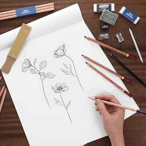 Miniatura 5 de Pro Art - Conjunto de dibujos todo en uno