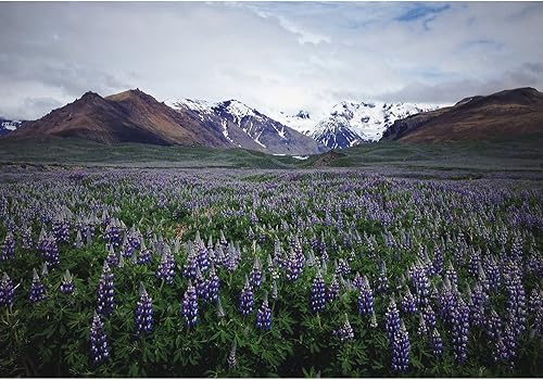 Miniatura 35 de wall26 - Coche rojo vintage en la calle - Mural de pared extraíble | Papel tapiz autoadhesivo grande - 66x96 pulgadas obra de arte 22,obra de arte