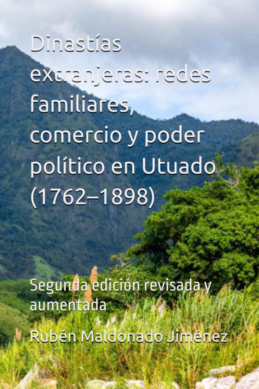 La presencia extranjera en la política utuadeña