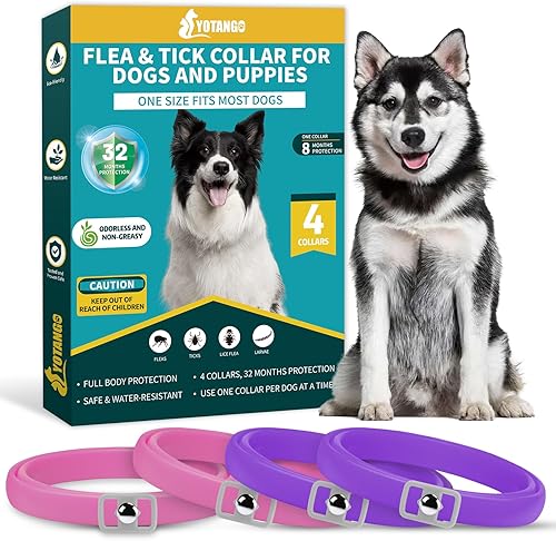 Paquete de 4 collares antipulgas para perros, collar de pulgas y garrapatas de perro, 8 meses, prevención de tratamiento de pulgas y garrapatas para