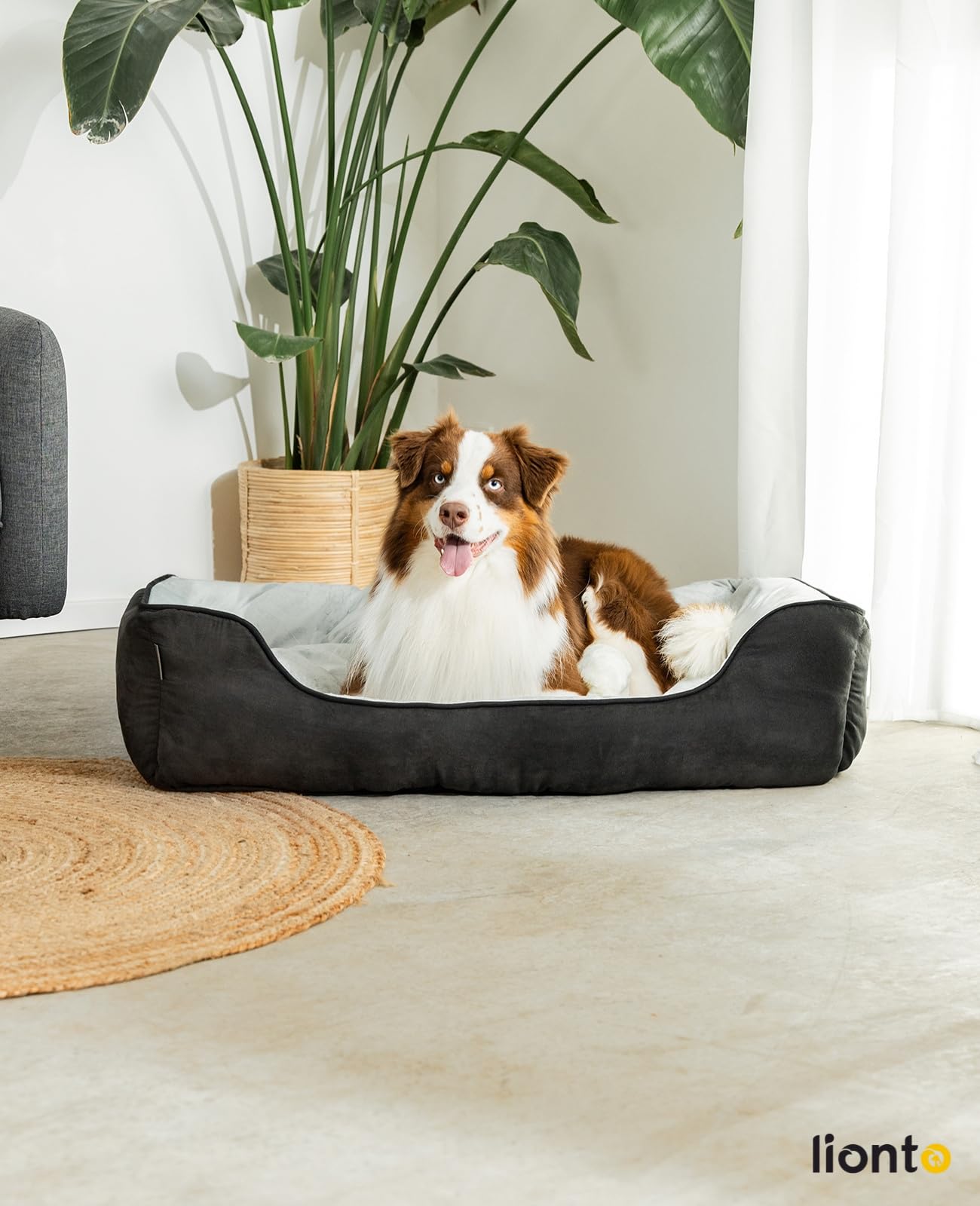 lionto Letto per cani 2 in 1 con ingresso confortevole, accogliente cuccia reversibile per cani e gatti, 110x80 cm, cuscino per cani in similpelle facile da pulire, nero/grigio