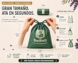 Ver la foto 6