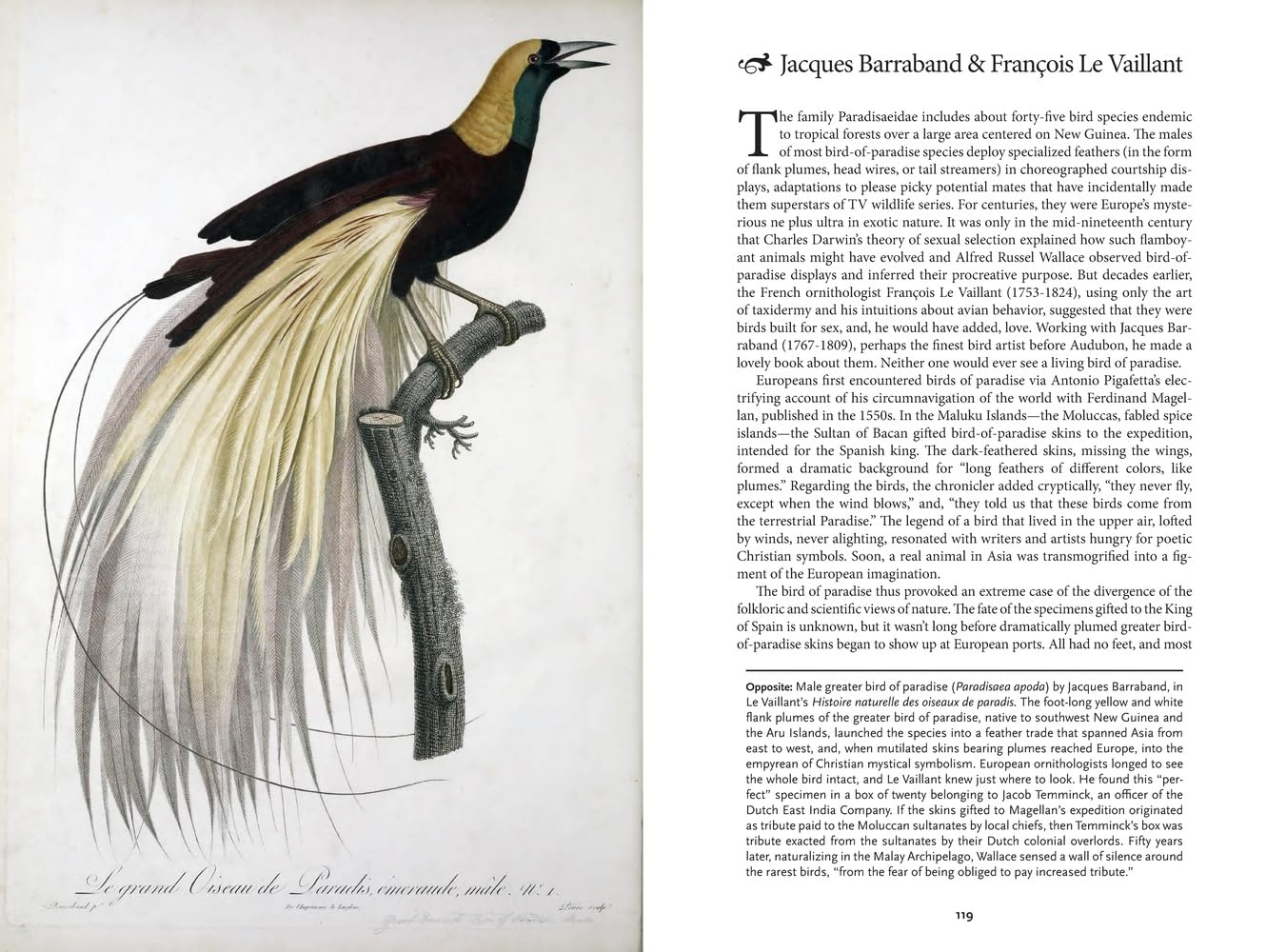 The Art of Biodiversity: Artists & Naturalists, 1700–1900      Hardcover – April 14, 2026