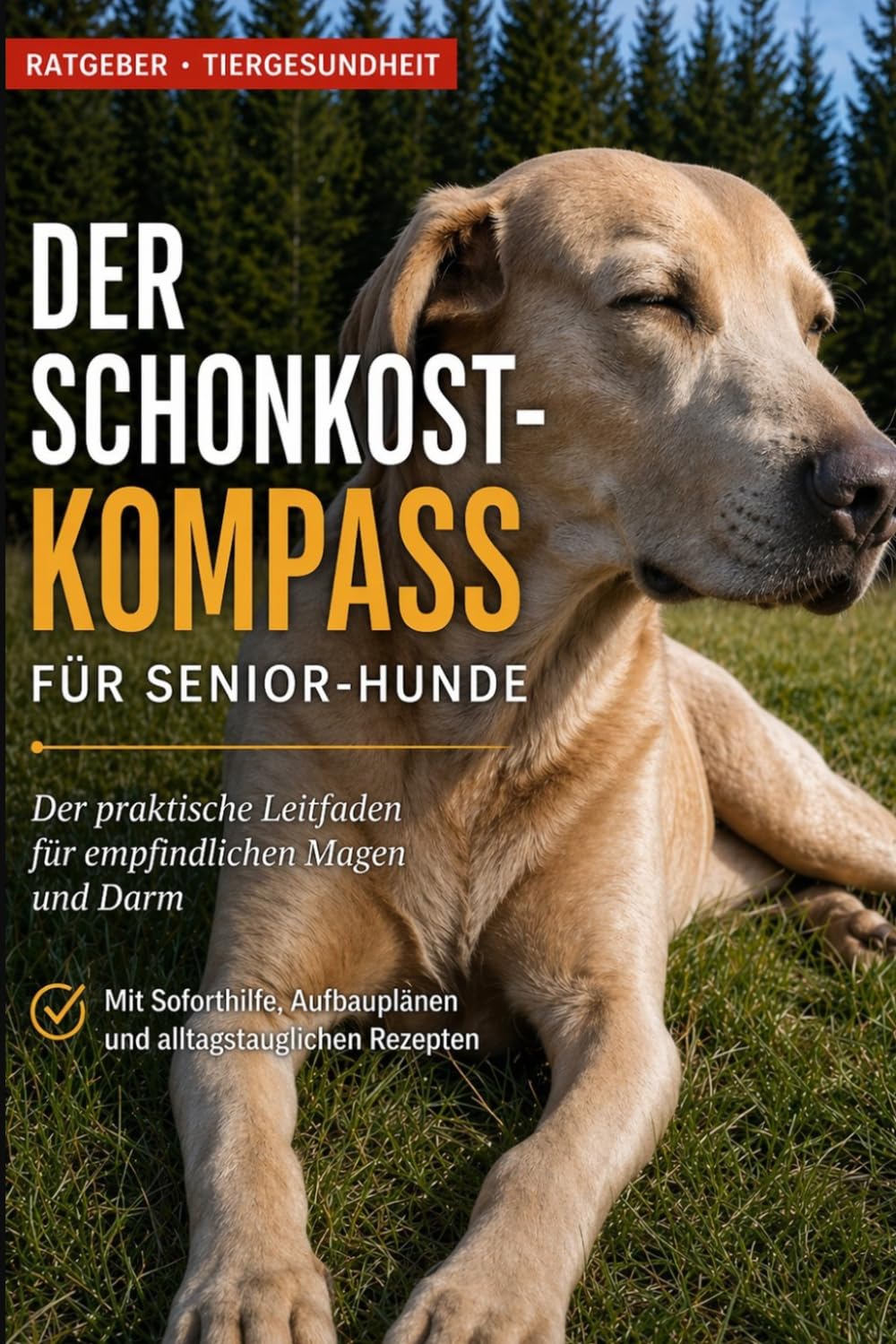 Der Schonkost-Kompass für Senior-Hunde: Der praktische Leitfaden für empfindlichen Magen und Darm