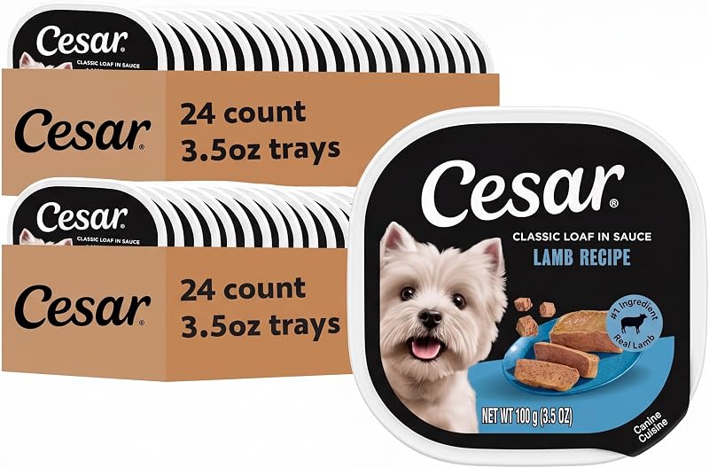 Ração úmida para cães adultos Cesar Classic Loaf com cordeiro ao molho, bandejas de 99 g, 24 unidades (Pacote com 2)