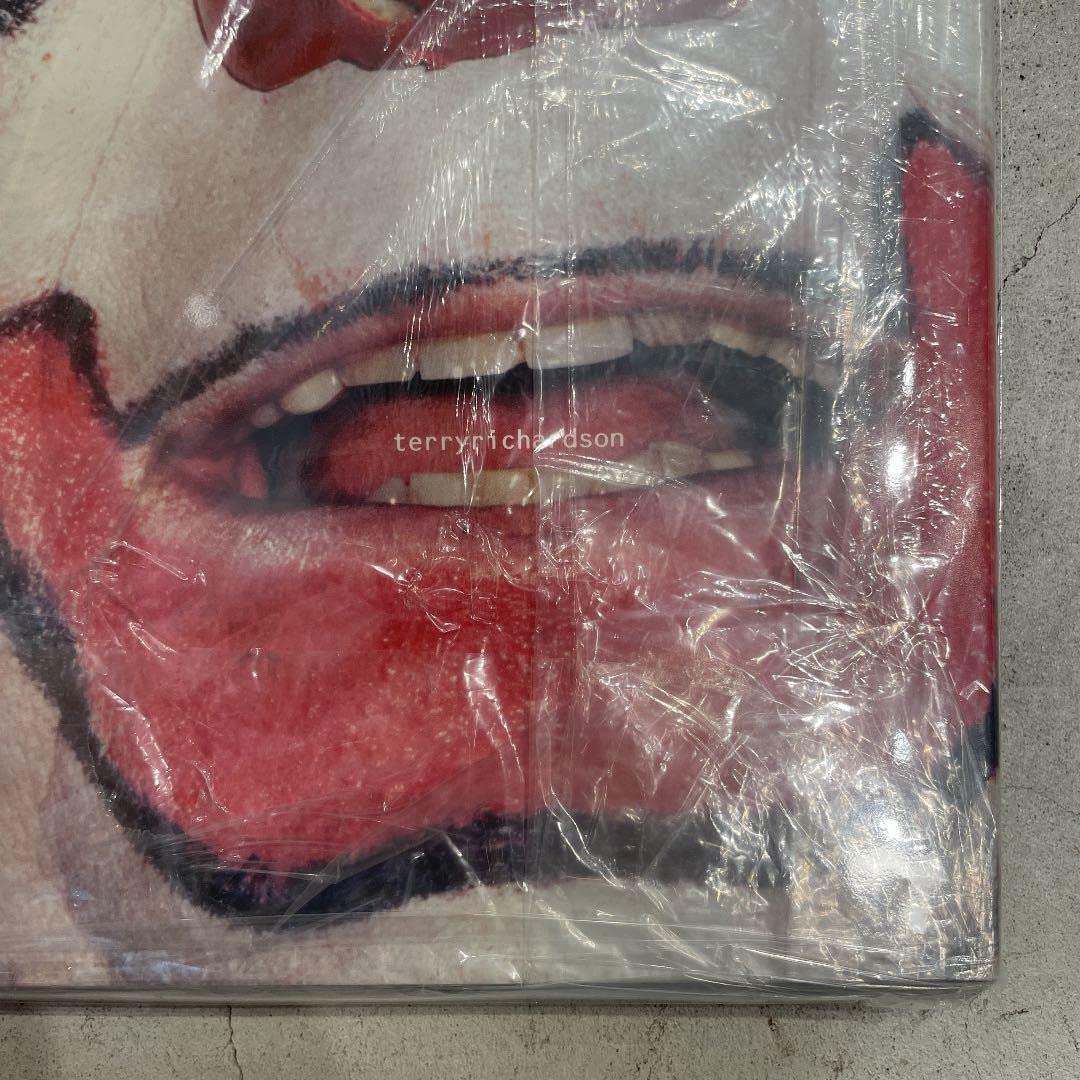 Amazon.co.jp: Terry Richardson Hysteric Glamour : おもちゃ