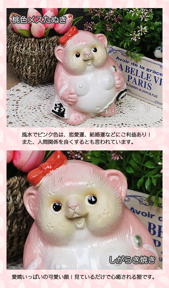 信楽焼き 51nl371k9dS._UF350,350_QL50_.jpg