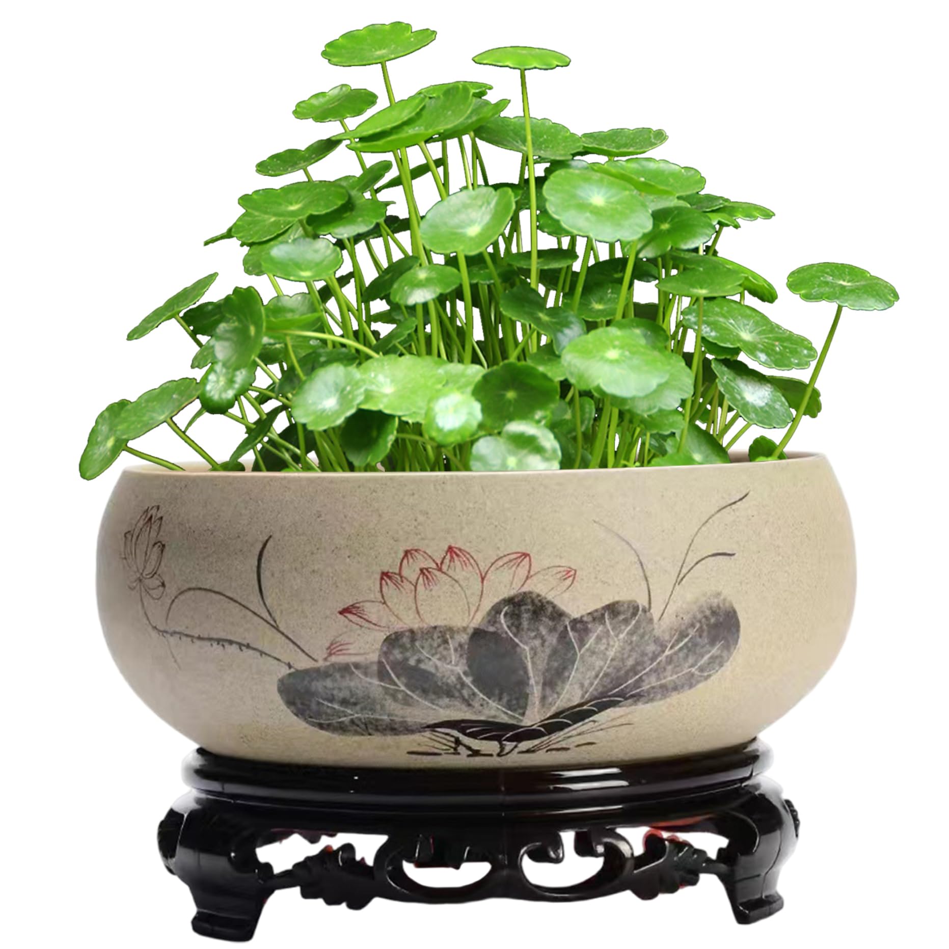 Vaso idroponico in ceramica con motivo a loto 6, 5x2, 6" con base in plastica vaso rustico e raffinato per fiori di loto ninfee e altro ancora.