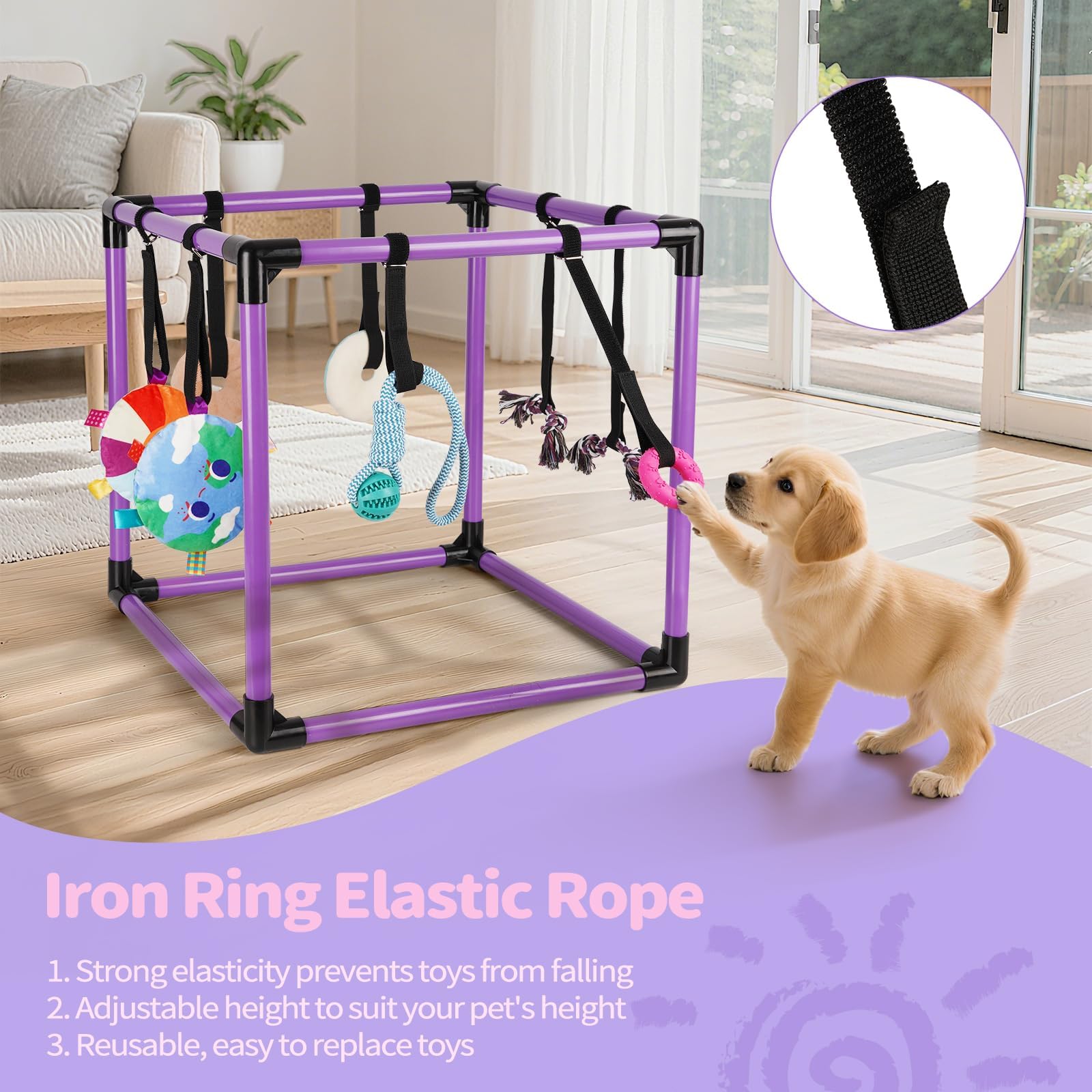 Liitrton Gimnasio de Juego para Cachorros – Gimnasio de Juego para Perros pequeños con 8 Juguetes Colgantes, Gimnasio Interior de la Selva con Juguetes interactivos de enriquecimiento para Perros | Marco de PVC de 19.5 x 19.5 x 19.5 pulgadas, gimnasio int