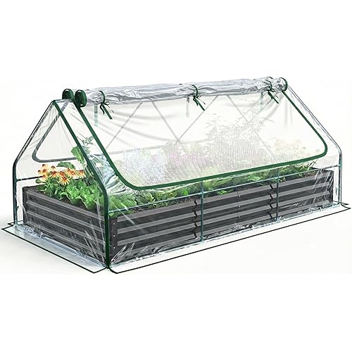 Quictent Raised Garden Bed Galvanized Raised Beds for Gardening Vegetables with Cover 8x4x1 ft Metal Planter Box Outdoor Use (Clear)