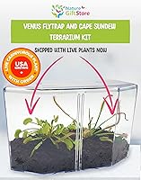 Vista 2 de Venus Fly Trap Live Plant + Sundew Plant Set with Terrarium + Carnivorous Plants Food, Feeding Tweezers, Peat and Venus Flytrap + Sundew Carnivorous
