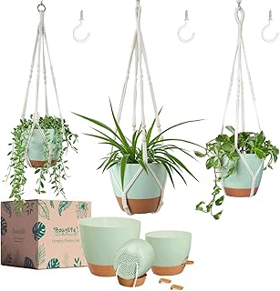 Larege Hanging Planters with Macrame Plant Hangers for Indoor Outdoor Pl...