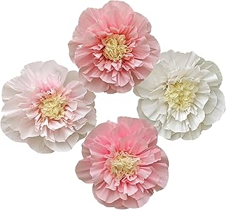 Mybbshower Crepe Paper Flower for Wall Psprt Pom Pom Decor Girls Birthday Party Backdrop Baby Shower Nursery Room Decoration Pack of 4 (Blush Pink White)