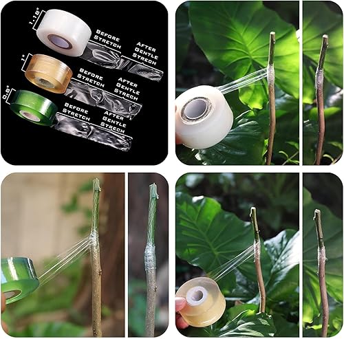 Miniatura 4 de NAYE Cuchillo de jardinería de injerto, cuchillo de jardín de cuchillas rectas curvadas de 2-58 pulgadas para poda en brotes, con cinta de injerto,