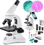 100X-2000X Microscopes pour les enfants Étudiants Adultes Débutants Microscope biologique puissant pour l'éducation à domicile de la School Lab, avec ensemble de diapositives de microscope, adaptateur de téléphone Plug-in