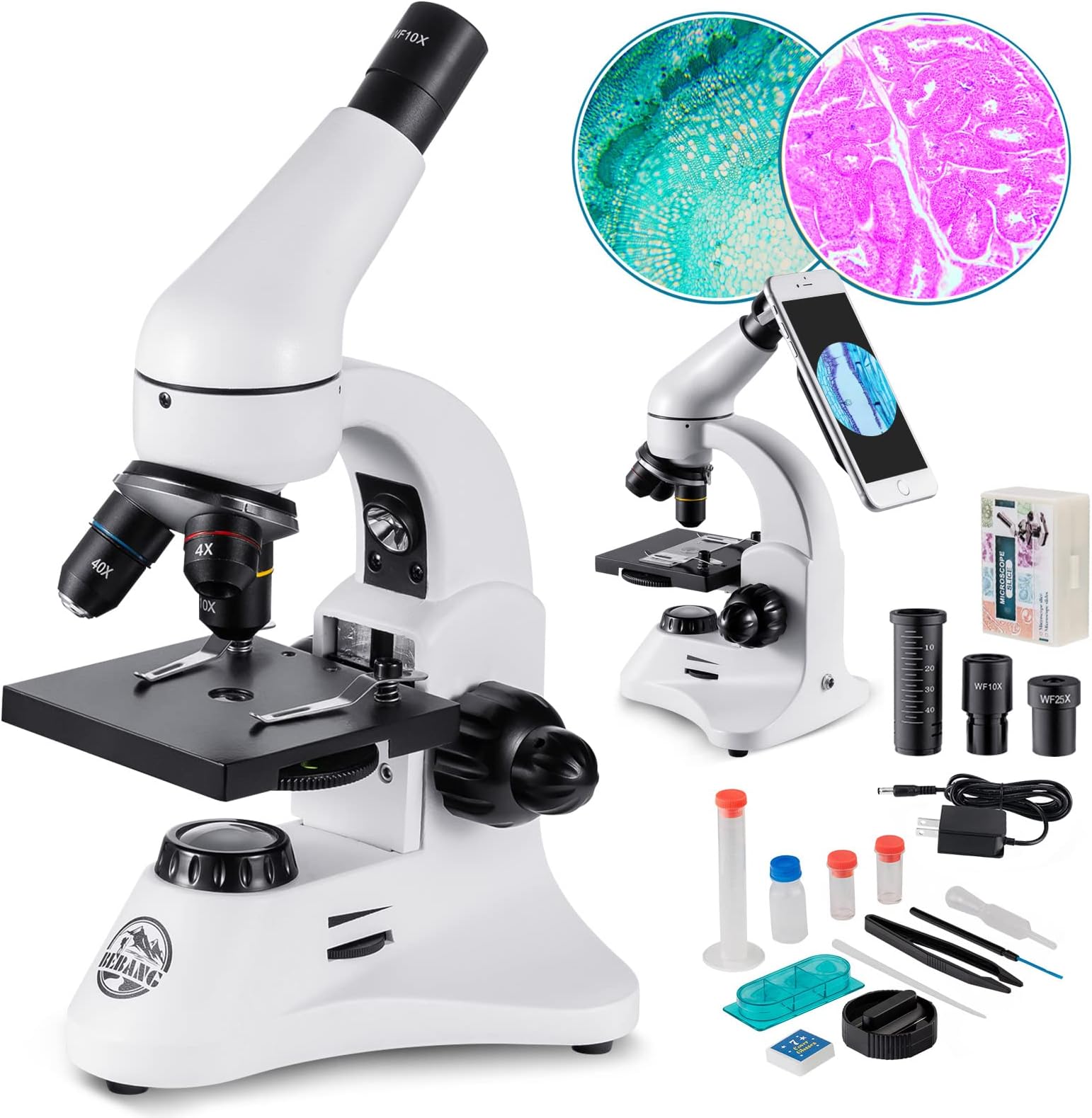 BEBANG Metal 2000X Two-Eyepieces WF Professional Optical Microscope, 80X to 2000X Manual in French and EU Plug for Children and Adult Students