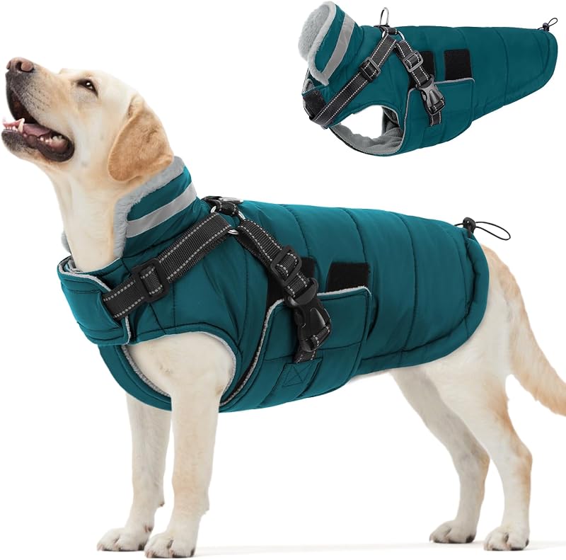 Casaco de inverno para cães com peitoral integrado Queenmore, impermeável, forrado e refletivo, tamanho XL