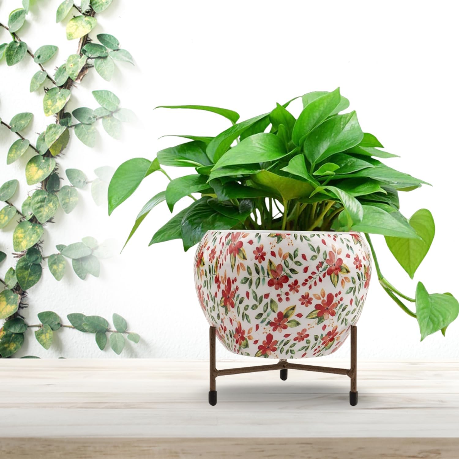 See full amazon price history chart for SpikeZone - Metal Pot for Plants with Stand, Metal Flower Pots Indore Outdoor Home Décor Item, Rust-Free Powder Coating, Plants Not Included, Pot Size: 10 * 13cm, Stand Height: 7.5cm (White & Red) SpikeZone - Metal Pot for Plants with Stand, Metal Flower Pots Indore Outdoor Home Décor Item, Rust-Free Powder Coating, Plants Not Included, Pot Size: 10 * 13cm, Stand Height: 7.5cm (White & Red) (B0D33QVQJB) Amazon Price History, Amazon Price Tracker