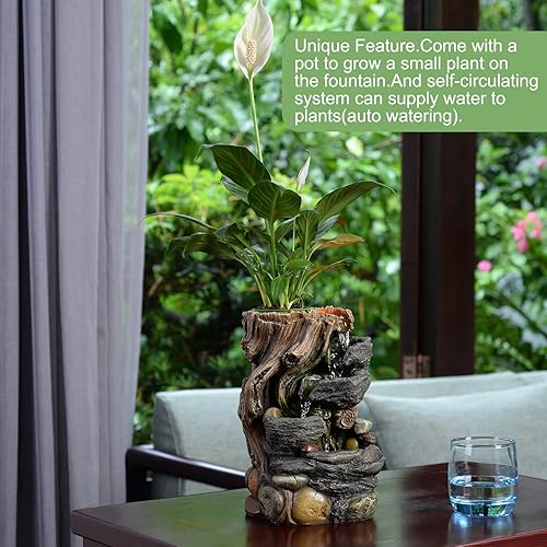 Miniatura 3 de GOSSI Fuente de interior decorativa de 5 niveles con una pequeña maceta de plástico para cultivar la planta por ti mismo (riego automático) (22021)