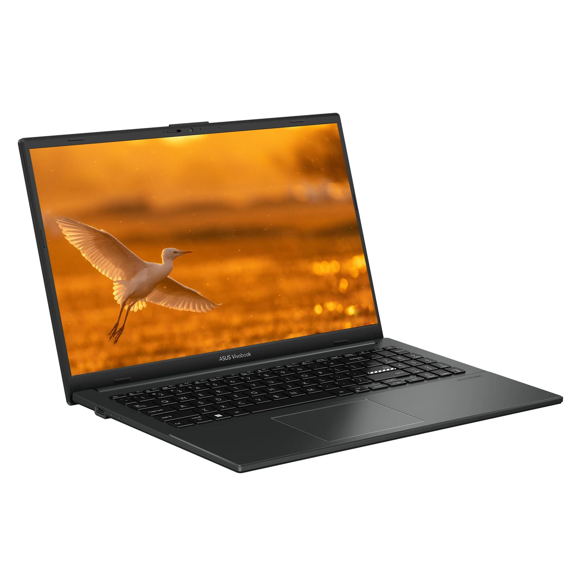 Amazon.com: ASUS 2025 Lightweight Laptop, 15