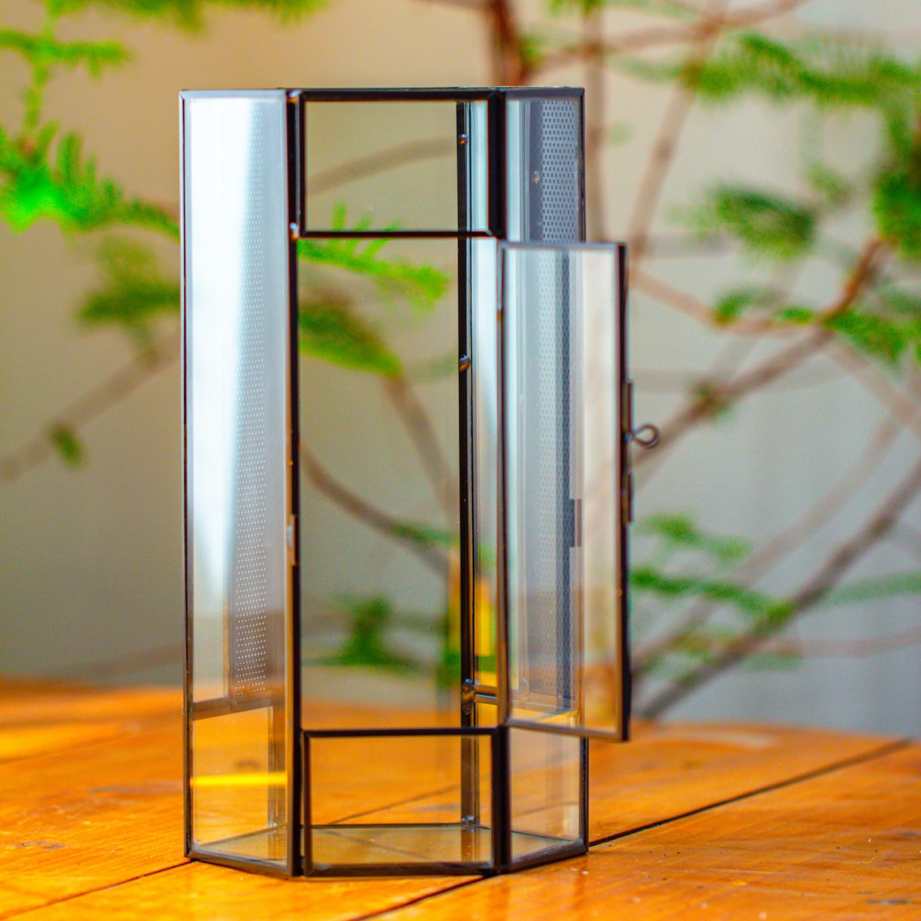 NCYP 12,5x10x24 cm Petit Hexagonale Terrarium en Verre avec Maille et Porte pour Araignées, Insectes, Petit Plantes (Plantes et Accessoires Non Inclus)