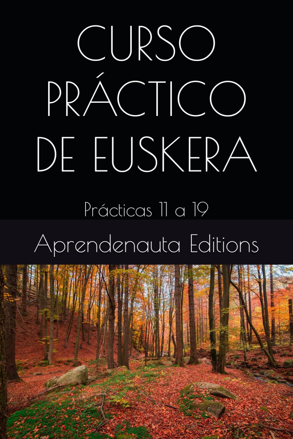 CURSO PRÁCTICO DE EUSKERA: Prácticas 11 a 19 (CURSO DE EUSKERA (VASCO))