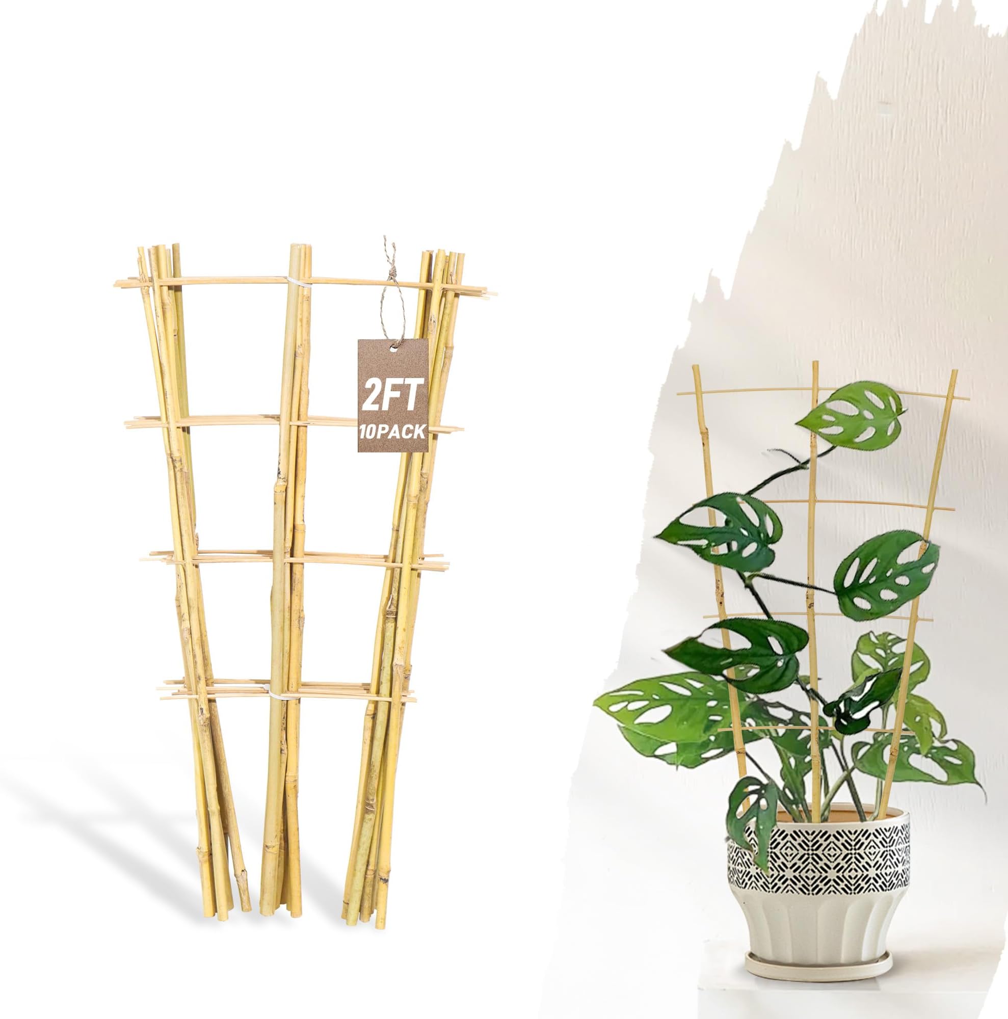 Avalution 10 Pack Bamboo Trellis for Climbing Plants, 2 FT Garden Ladder Trellis for Potted Plants Indoor, Fan-Shaped Small Plant Support Trellis for Houseplants Ivy Hoya Vine Monstera
