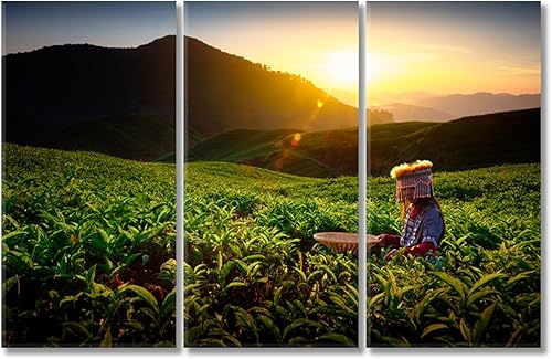 Miniatura 4 de Sungei Palas Tea Garden Malaysia Canvas Print 1 Panel  47x31 inches