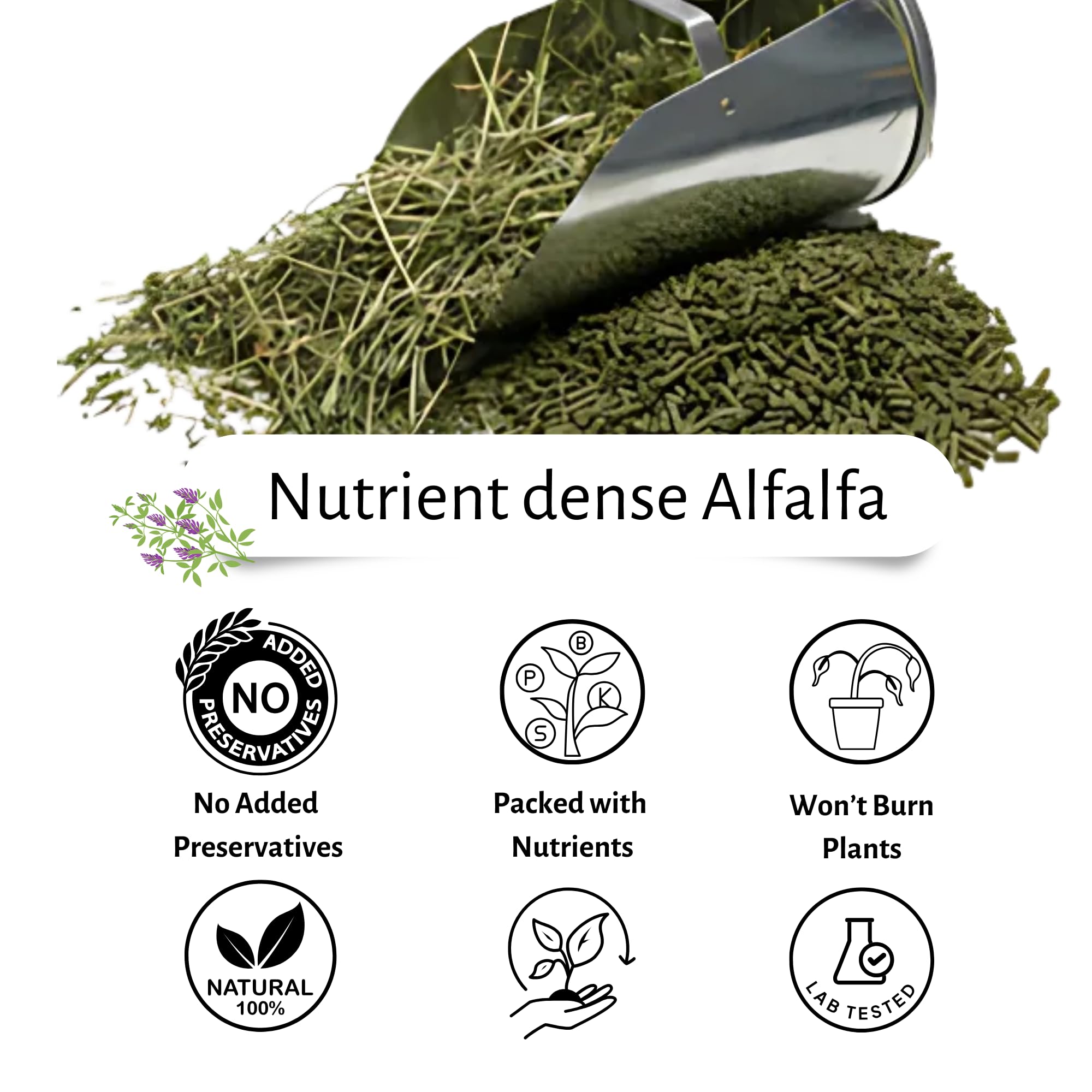 Alfalfa Meal Pellets, AlfaThrive Plant Multivitamin and Fertilizer, and Animal Feed. 4.0 lbs, 2.5-0.5-2.5 NPK - Image 3