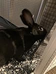 Review Image by SrSmoothieBuns SrSmoothieBuns