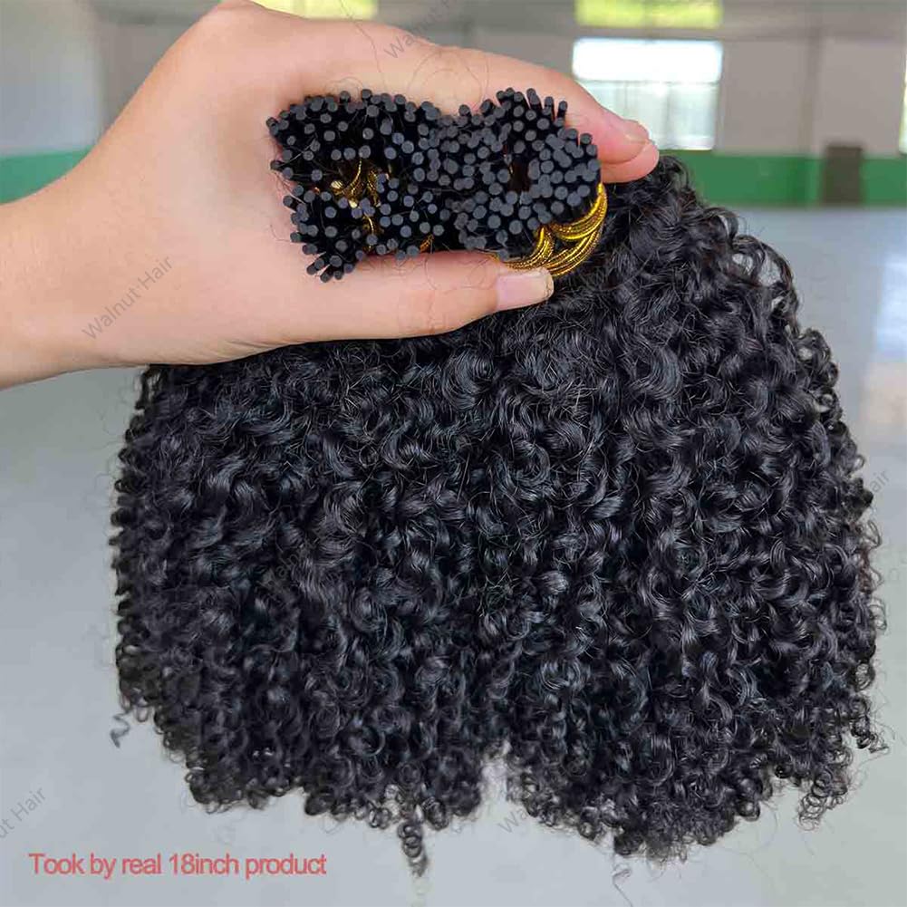 Afro Kinky Curly I Tip Human Hair Extensions Double Drawn Mongolian Virgin Fusion Hair Bundles 3c 4a Real Human ITip Hair for Black Women Walnut hair 16inch 80g