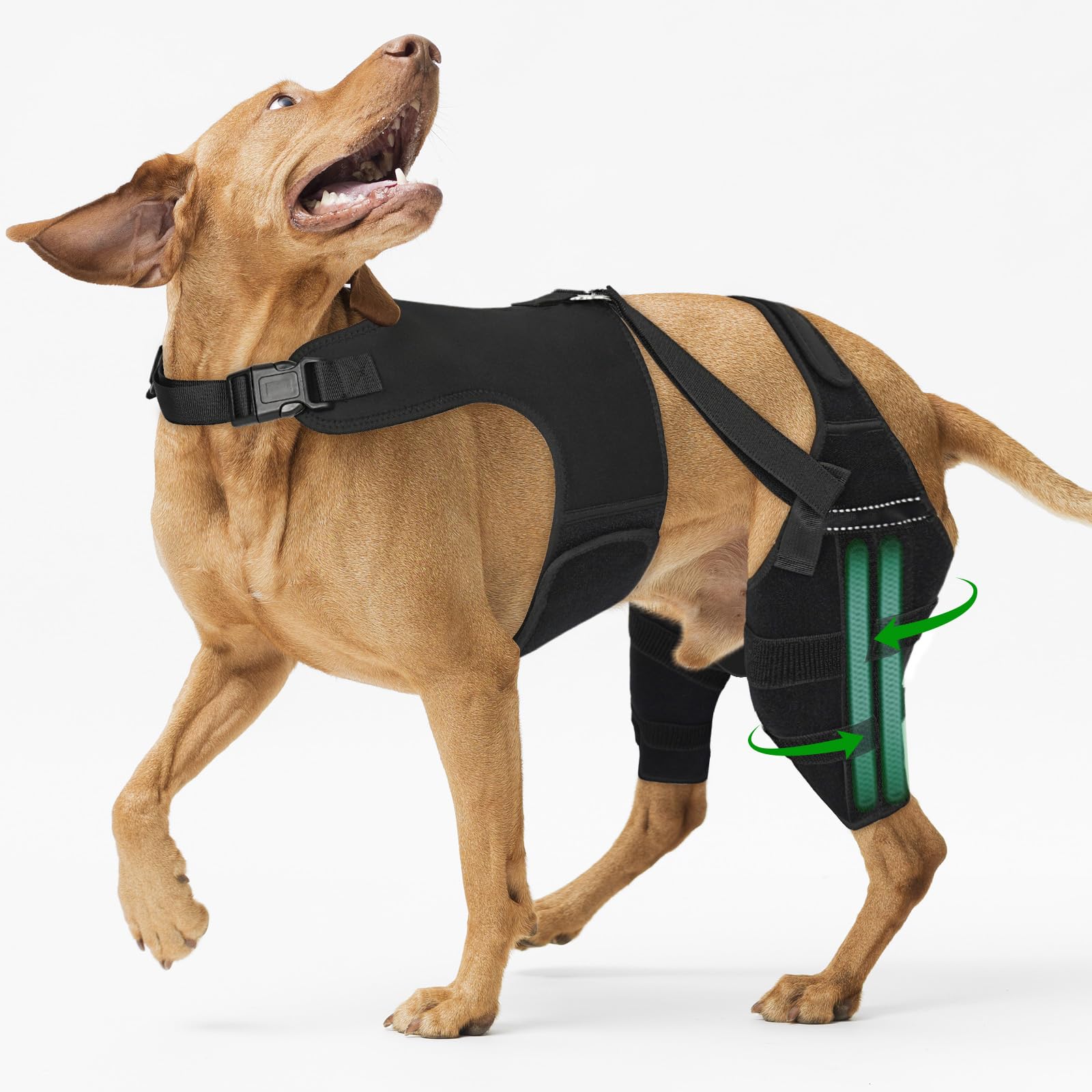 Photo 1 of Marnonsis Dog Knee Brace for Back Leg, Adjustable Dog Leg Brace with 4 Stabilizers, Hip Support to Reduces Pain, Ligament Injuries & Luxating Patella & ACL CCL for Small Medium Large Dogs, L