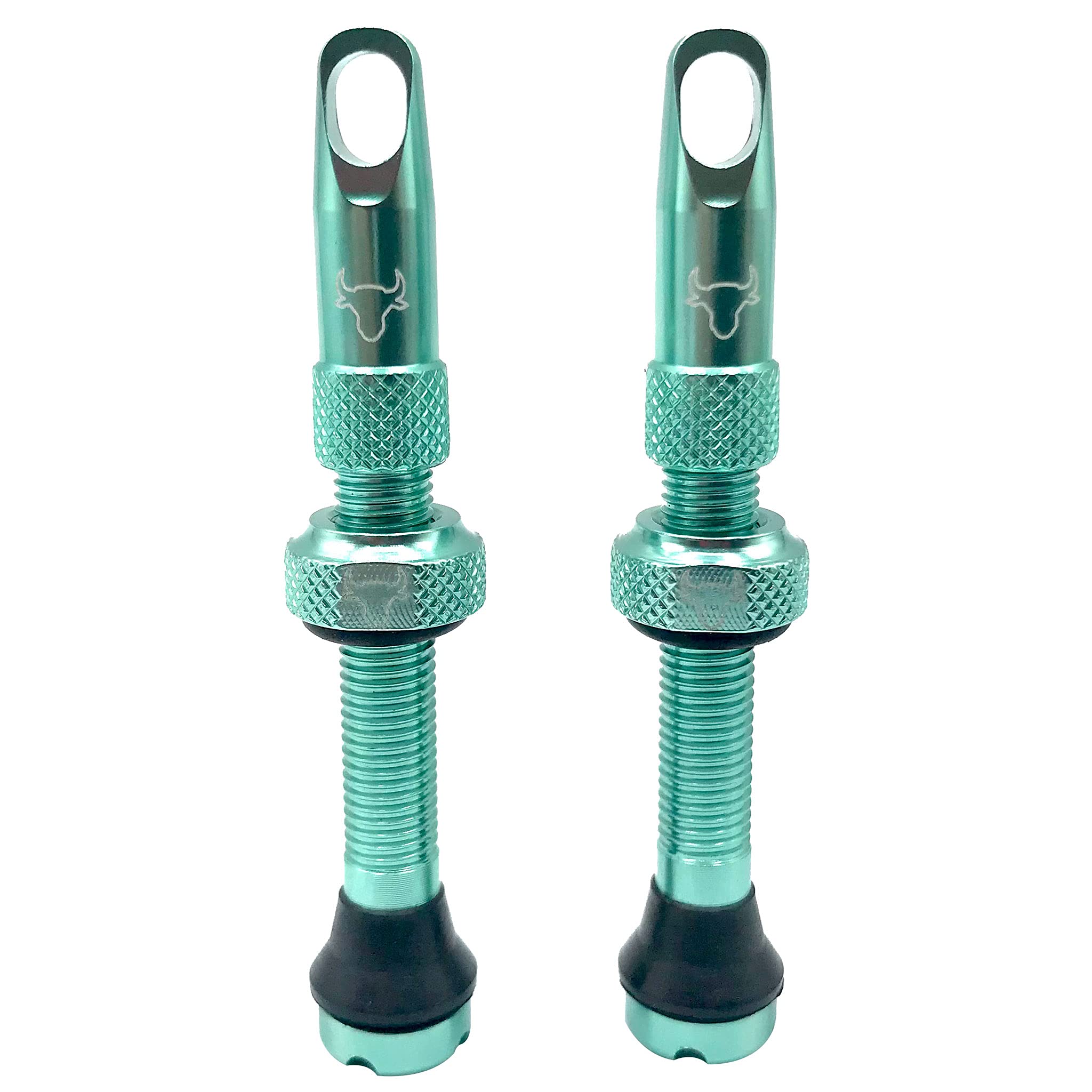 Hold Fast Cycling Tubeless Valve Stem, 42mm (Pair), Turquoise - 42TRQI