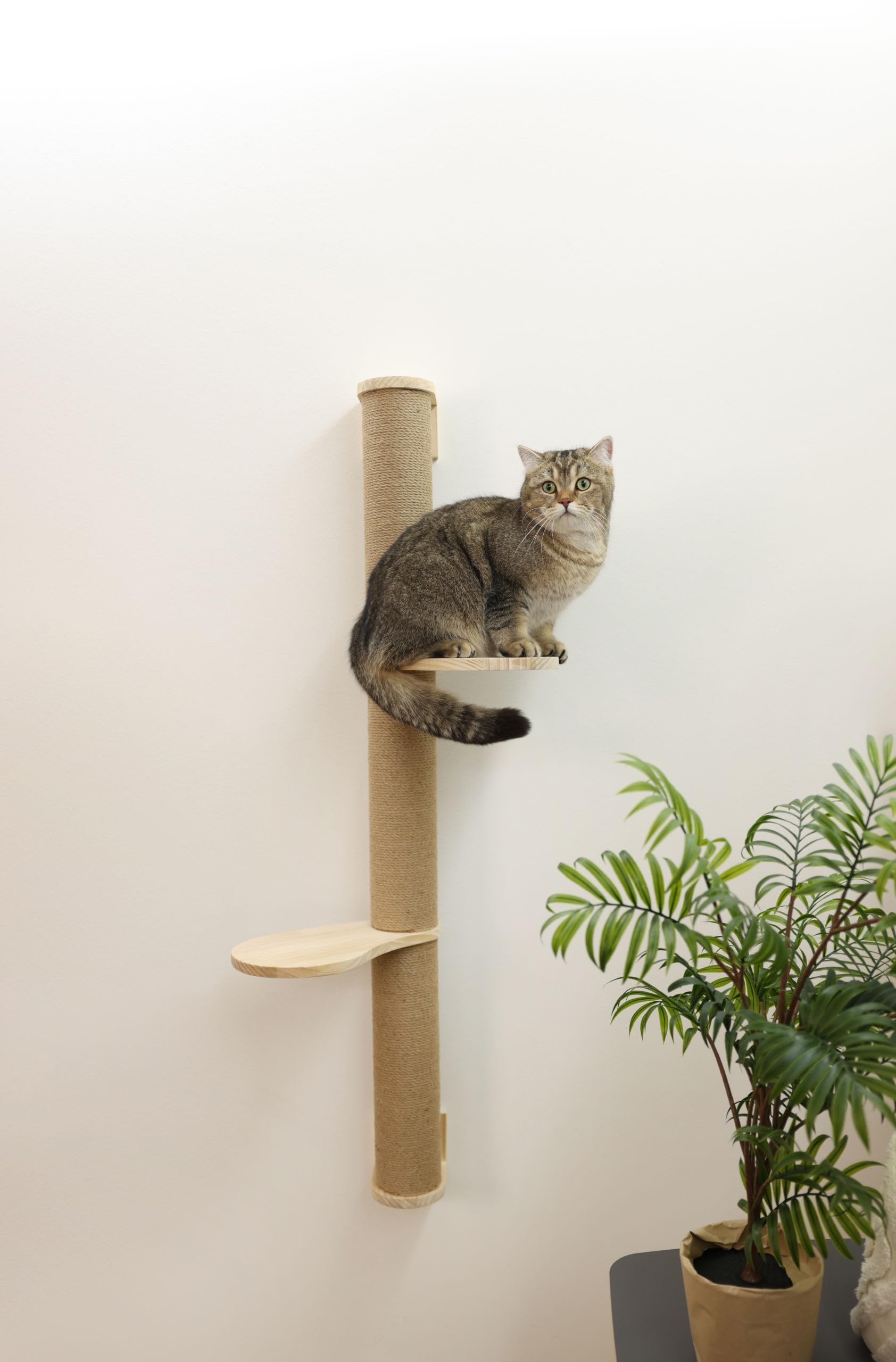 Kerbl Pet Arbre à Chat Timber, Naturel, 127 cm, Bois Massif, Jute, Chats, Fixation Murale Incluse
