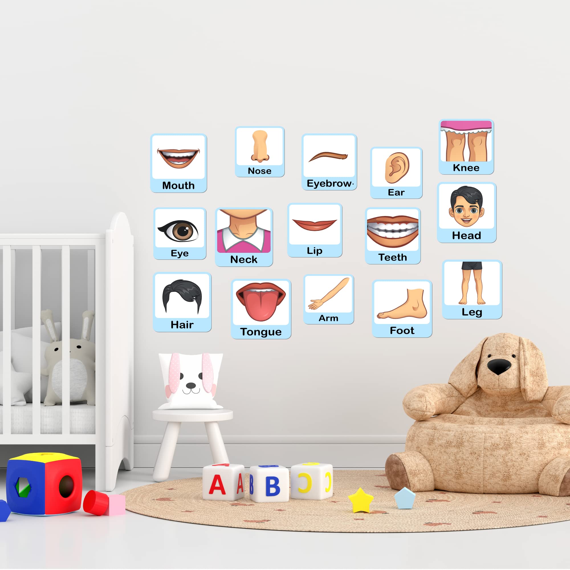 Kids Body Parts Wall Stickers - Learn & Decorate! -6 Kids Body Parts Wall Stickers - Learn & Decorate! -6