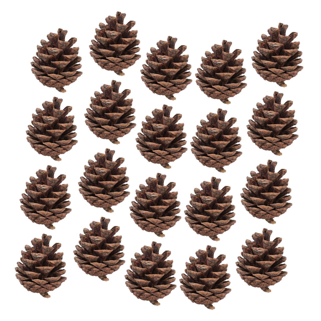 Sewroro Piñas Naturales Grandes 5-7 CM 30 Piezas para Manualidades Decoración Navideña Colgante Adornos Rústicos para Árbol de Navidad Fiestas y Proyectos DIY