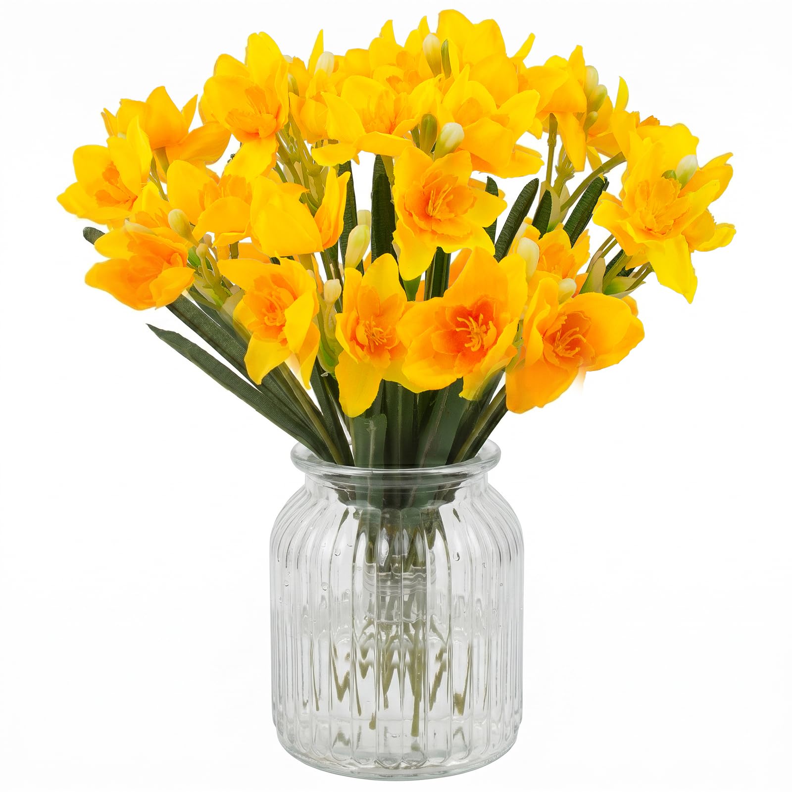Gele Narcis Van Narcissen De Gemeenschappelijke Namen, Bloeiende