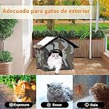 Ver la foto 7