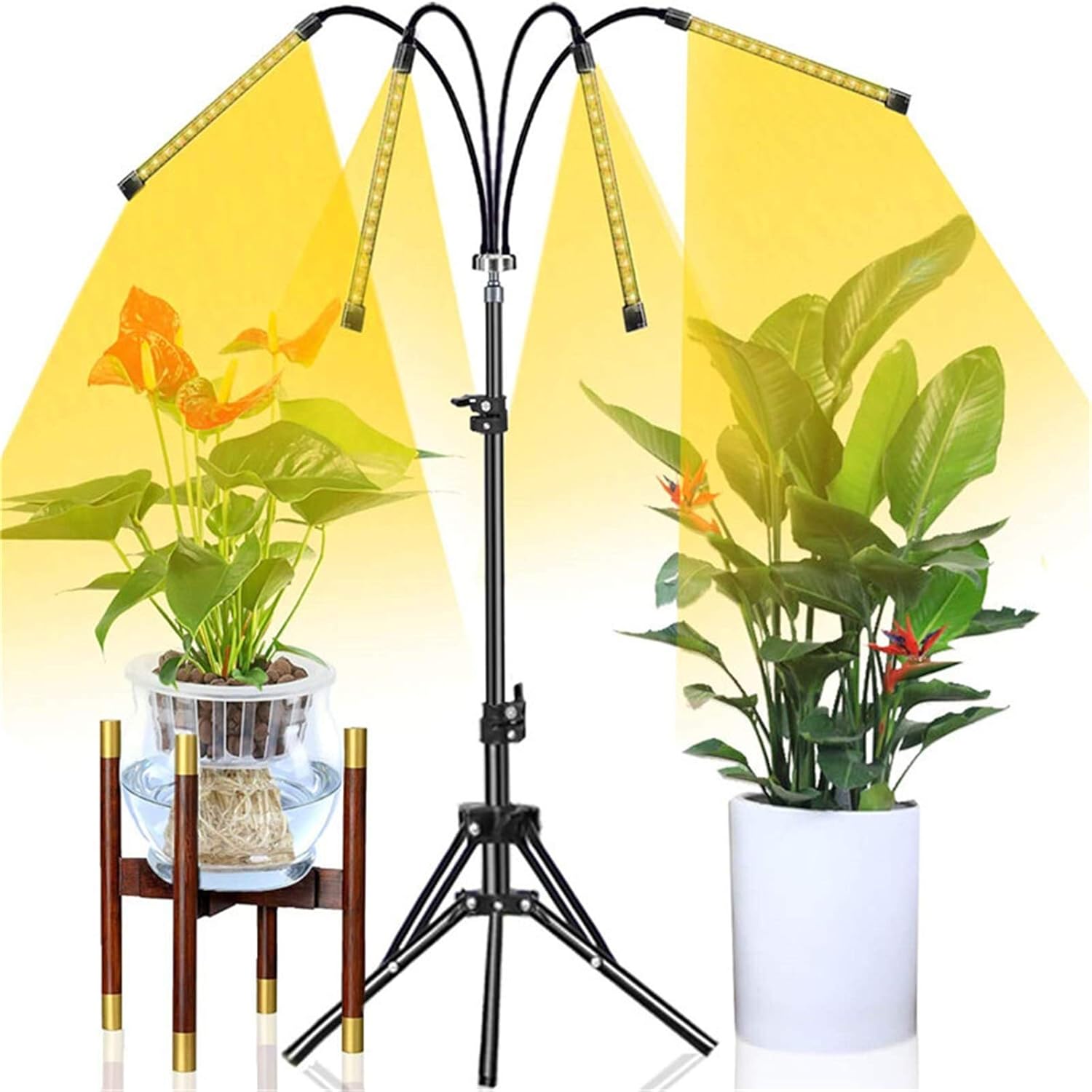 Grow Lights with Stand, Dimmable Full Spectrum LED Plant Growing Lamps with Timer, for Indoor Plants Seedlings with Adjustable Gooseneck, 80w