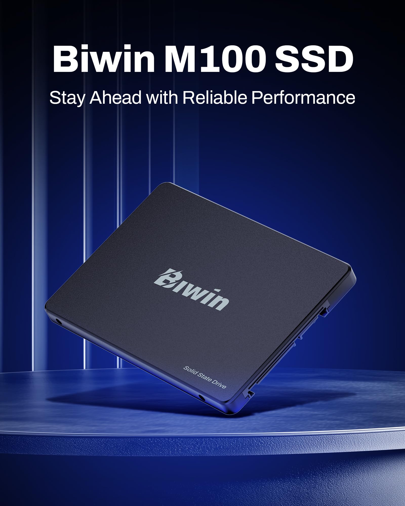 BIWIN M100 SATA 3.0 SSD 1TB - bis zu 550 MB/s Lesen - 6 Gb/s Internes Solid State Drive 2,5" für Laptop & Desktop – Schnell, Leise, Stoßfest