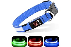 Bseen LED Dog Collar: Illuminate Your Dog's Nighttime Adventures