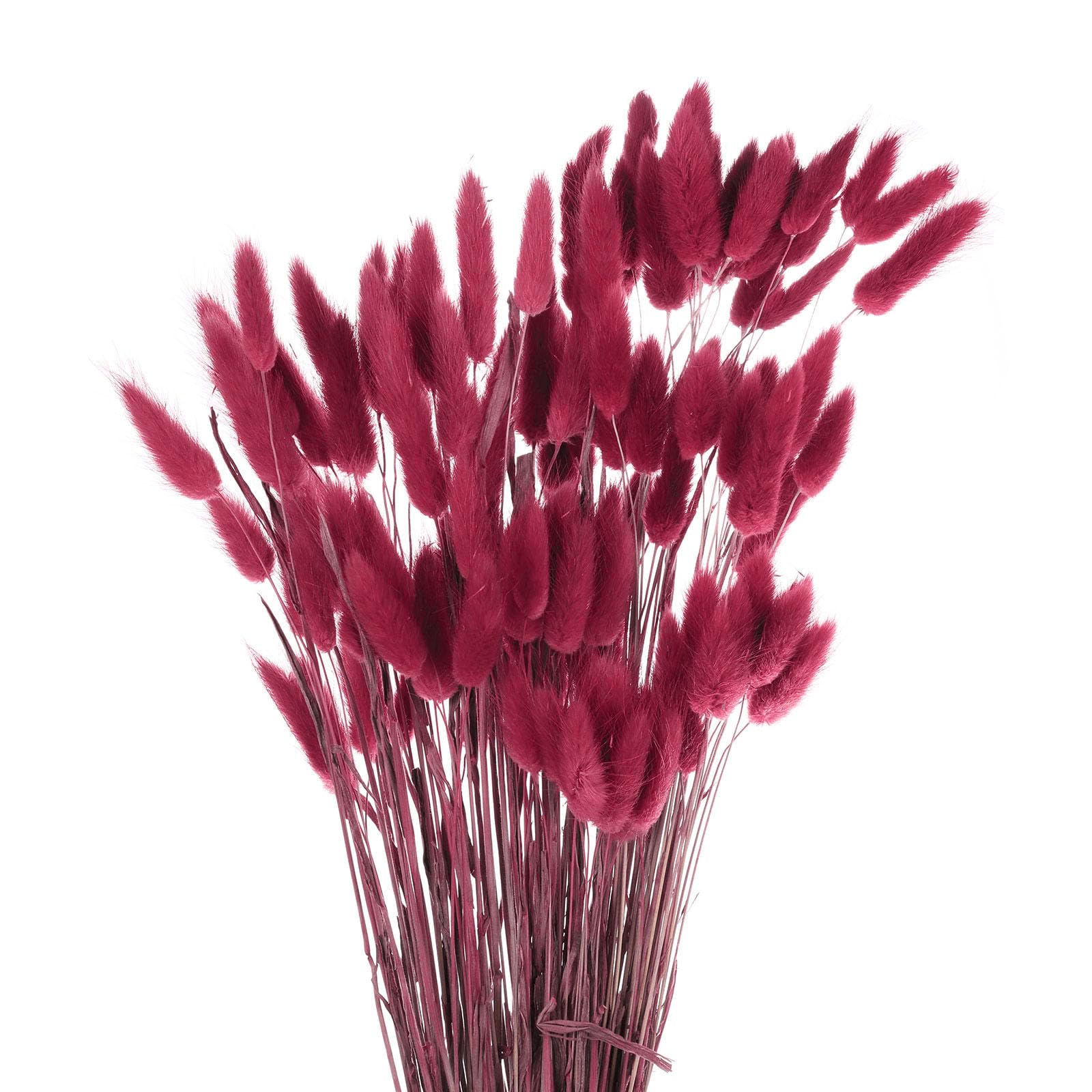 QUARKZMAN 120pz Fiori Secchi con Code di Coniglio Naturali 24" Mini Mazzo di Erba di Pampa Lagurus Ovatus per Decorazioni Floreali Matrimonio Natale, Prugna Viola