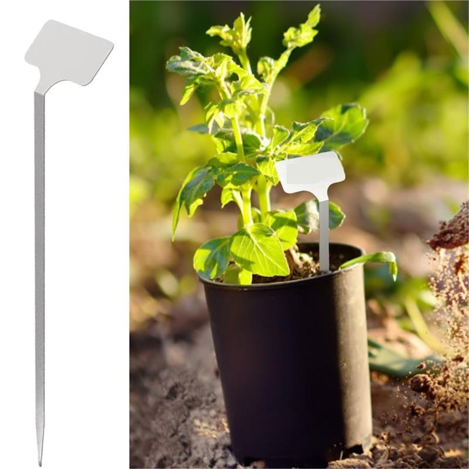 Marqueurs de plantes en acier inoxydable, étiquettes semis réutilisables, 10 pièces Pour l'enregistrement des noms de plantes