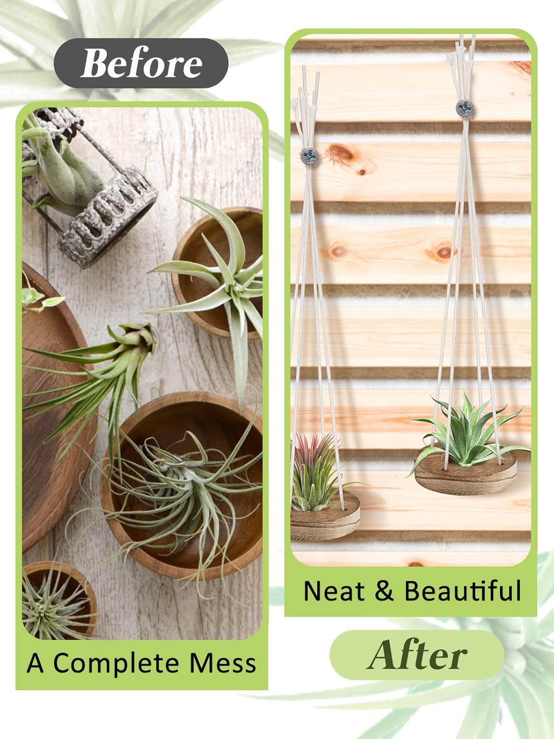 6 Pcs Hanging Wooden Air Plant Holder - 3" Round Airplants Live Hanger with Ropes, Rustic Tillandsia Succulent Display Container Stand for Home Office Decor Housewarming Gift (Excluding Plants) thumbnail