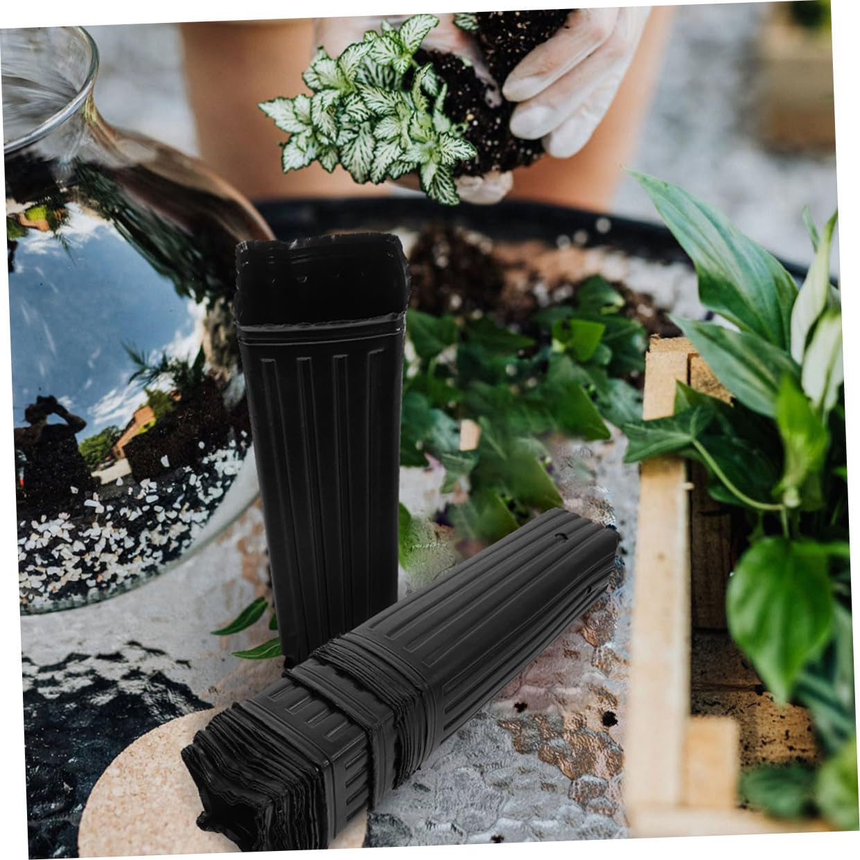 Veemoon Lot de 60 Godets de Culture en Plastique Noir 10x30 Cm pour Pépinière, Pots Profonds et Nutritifs pour Semis D’Agrumes, Légumes et Plantes, Accessoires de Jardinage Respirants