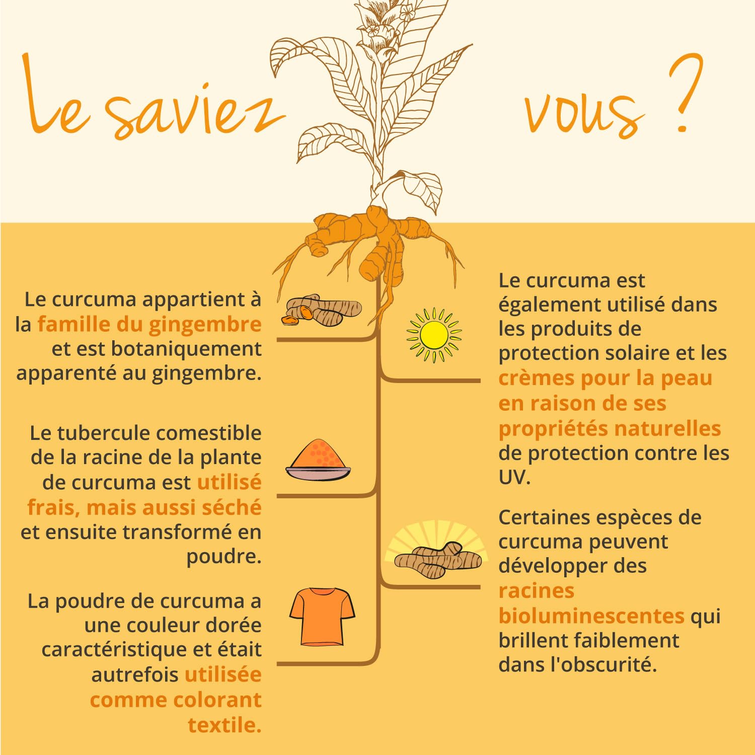 Curcuma BIO Vegavero® | Dosage Élevé | Avec Poivre Noir (Haute Absorption Curcumine) | Anti Inflammatoire | SANS ADDITIFS et VEGAN | 100% Biologique