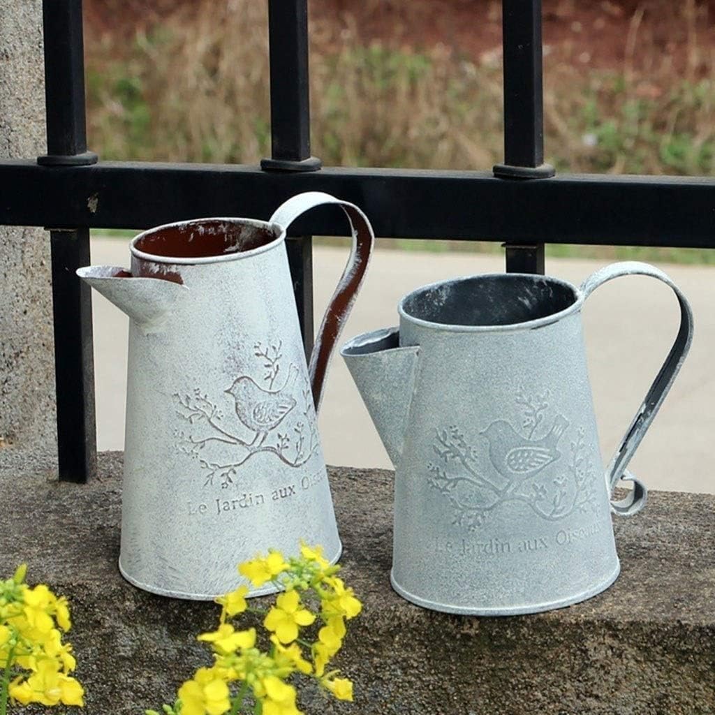 Watering Can Home Gardening Watering Can Iron Kettle Ornaments, Watering Gardening Tools Decorative Watering Can(A)