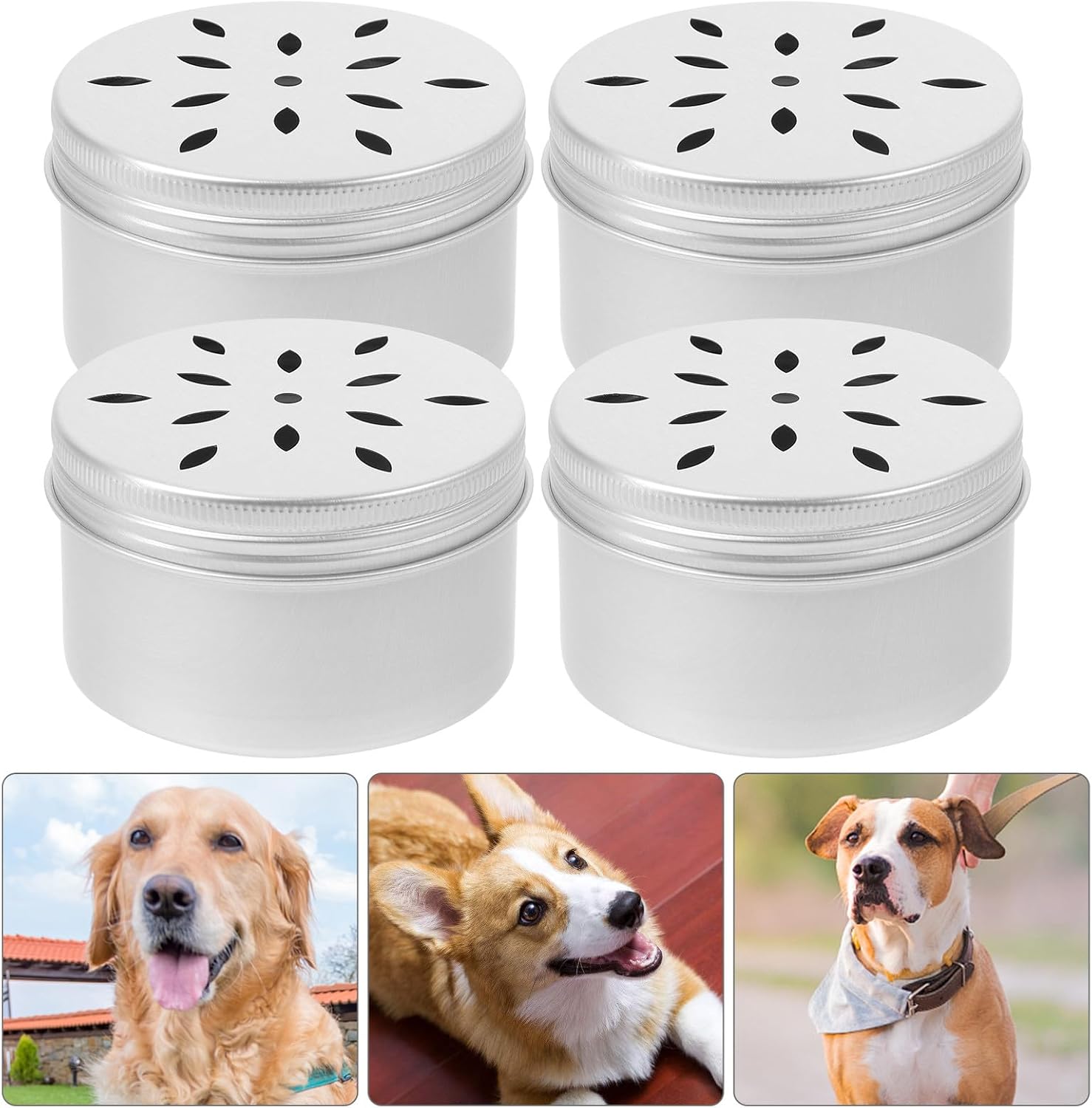 SUPVOX 10pcs Dog Training Scent Box for Dog Nose... 16 SUPVOX 10pcs Dog Training Scent Box for Dog Nose...