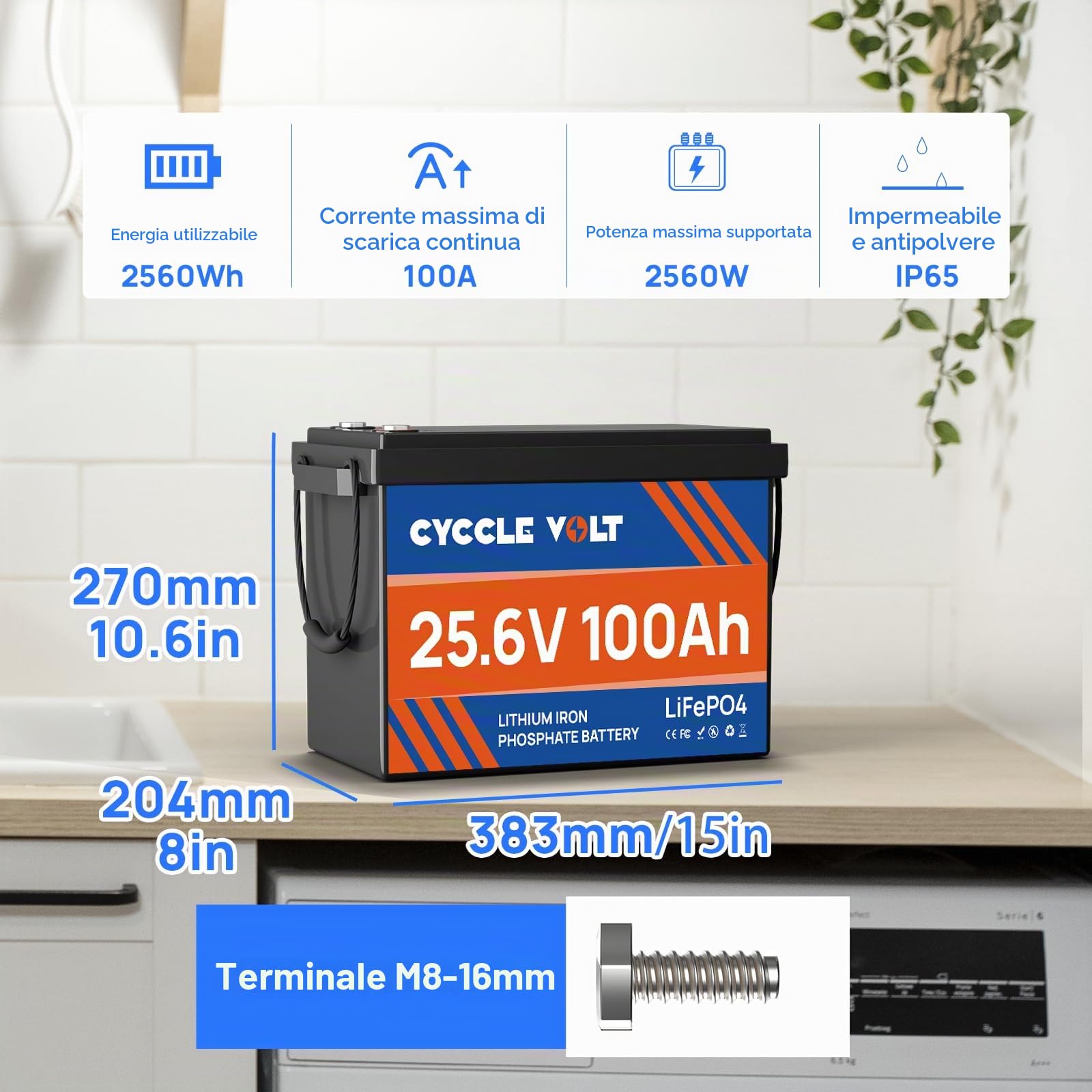 Batteria al Litio 24V 100Ah LiFePO4 con BMS 100A Bluetooth, Controllo App, Protezione Bassa Temperatura, 2560W Potenza MAX, 8000+ Cicli, Batteria Ricaricabile per Camper, Barche, Solare